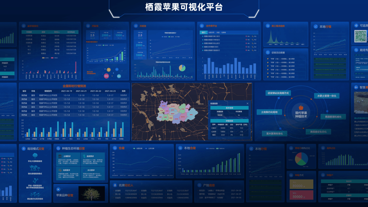 山东网亿